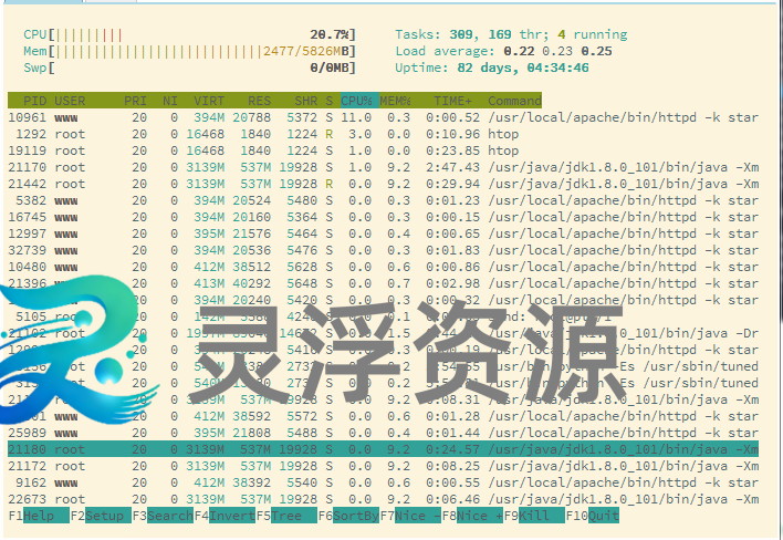 图片[4]-Linux／Ｗindows – SSH工具 – FinalShell-灵浮资源 - PHP网站源码模板,插件软件资源分享平台！